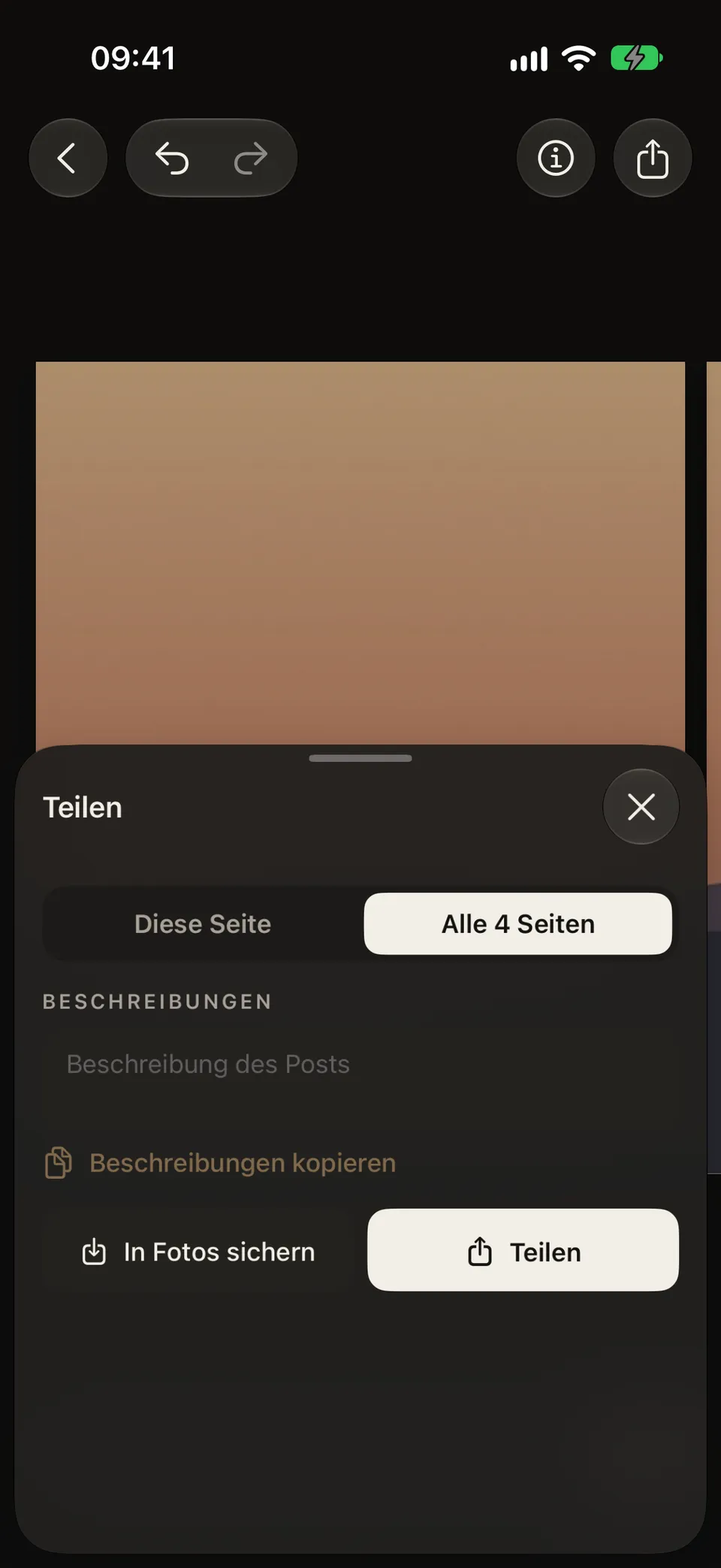 Blatt „Teilen“: alle vier Seiten gewählt, darunter die Knöpfe „In Fotos sichern“ und „Teilen“.